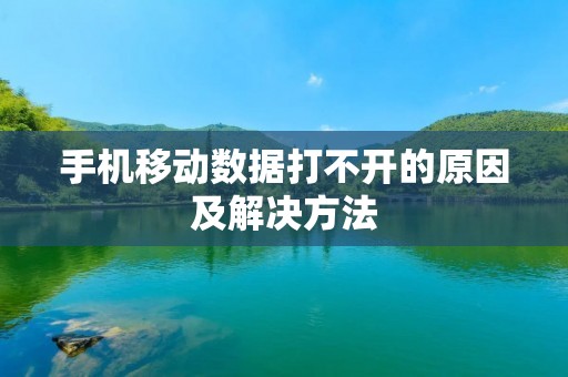 手机移动数据打不开的原因及解决方法