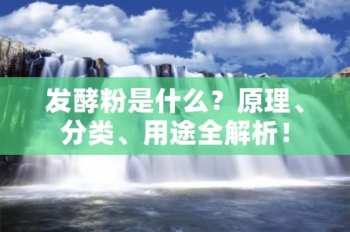 发酵粉是什么?原理、分类、用途全解析!