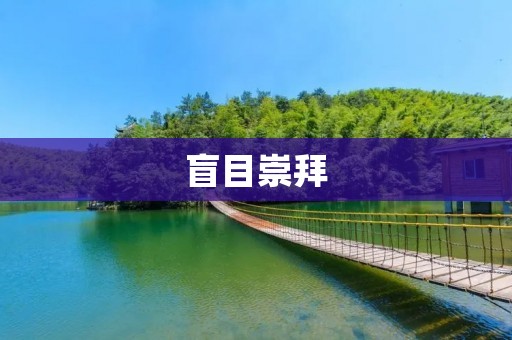 盲目崇拜:从“追星族”到“粉丝经济”