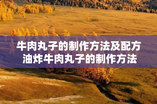 牛肉丸子的制作方法及配方 油炸牛肉丸子的制作方法及配方