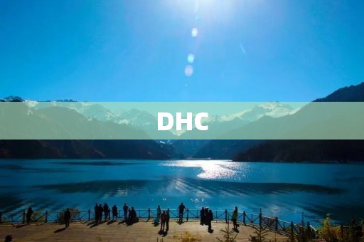 DHC：日本保健品品牌的崛起