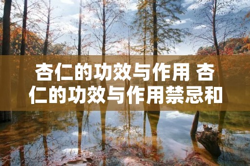 杏仁的功效与作用 杏仁的功效与作用禁忌和用量