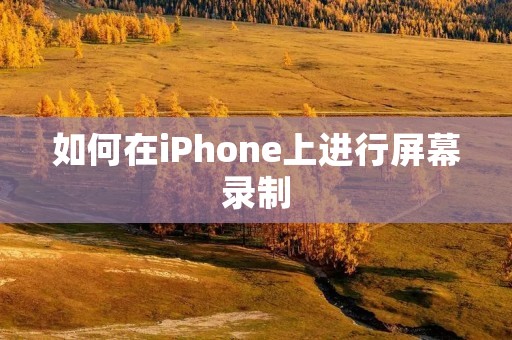 如何在iPhone上进行屏幕录制
