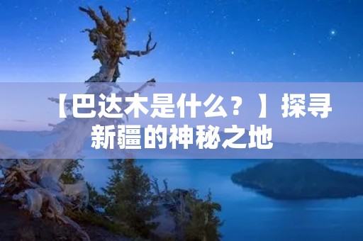 【巴达木是什么？】探寻新疆的神秘之地