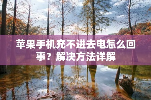 苹果手机充不进去电怎么回事?解决方法详解