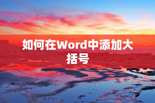 如何在Word中添加大括号