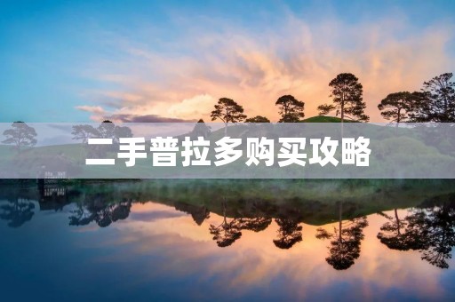 二手普拉多购买攻略：如何选到性价比最高的二手普拉多？