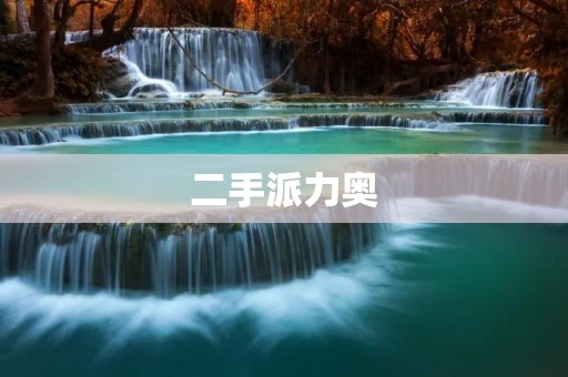 二手派力奥:打造高品质生活的经济实惠之选 二手派力奥:打造高品质生活的经济实惠之选