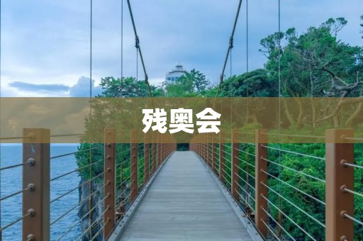 残奥会:每四年一次的盛大残疾人体育盛会 残奥会:每四年一次的盛大残疾人体育盛会