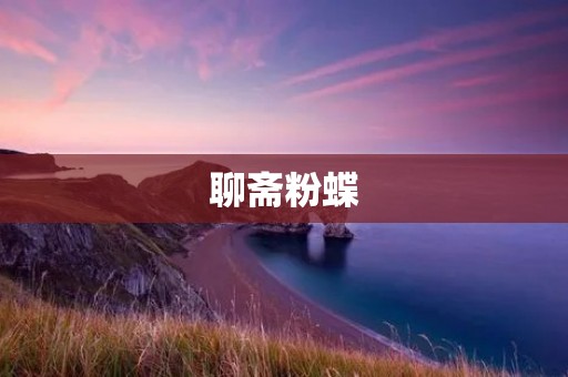 聊斋粉蝶：一段跨越时空的奇幻之旅