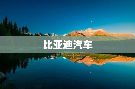 比亚迪汽车:走向世界的中国品牌 比亚迪汽车:走向世界的中国品牌