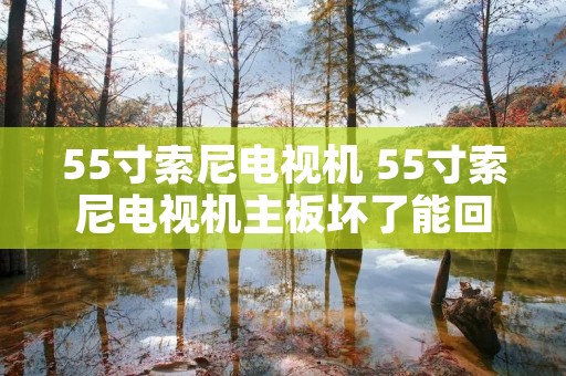 55寸索尼电视机 55寸索尼电视机主板坏了能回收吗