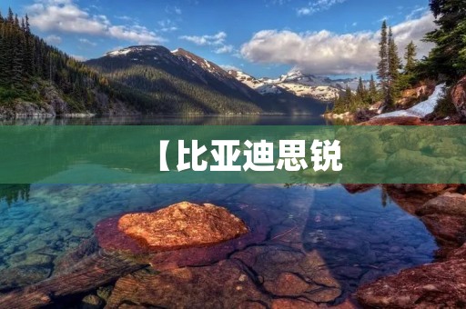 【比亚迪思锐：品质与科技的完美结合】