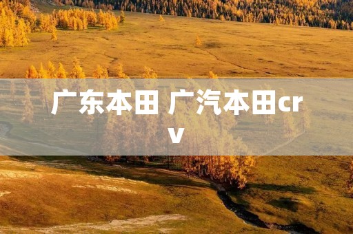 广东本田 广汽本田crv