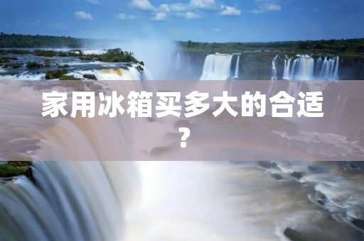 家用冰箱买多大的合适? 家用冰箱买多大的合适?