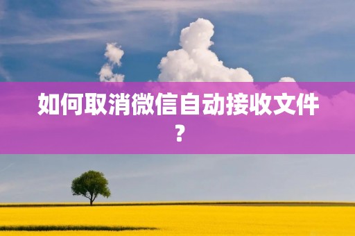 如何取消微信自动接收文件?