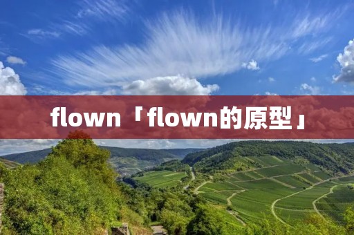 flown「flown的原型」 flown「flown的原型」