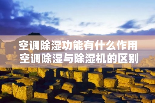 空调除湿功能有什么作用 空调除湿与除湿机的区别