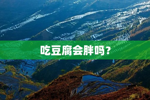 吃豆腐会胖吗?