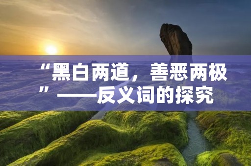 “黑白两道，善恶两极”——反义词的探究