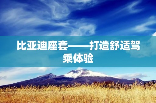 比亚迪座套——打造舒适驾乘体验 比亚迪座套——打造舒适驾乘体验