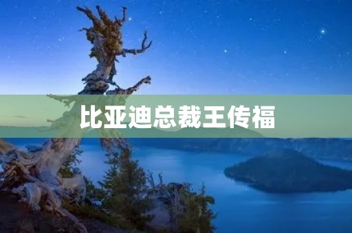 比亚迪总裁王传福：用技术和创新驱动企业发展