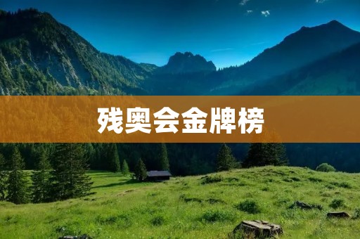 残奥会金牌榜:中国队夺冠 残奥会金牌榜:中国队夺冠