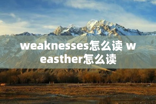 weaknesses怎么读 weasther怎么读