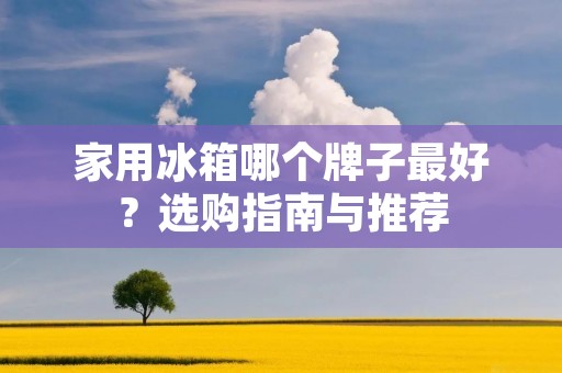 家用冰箱哪个牌子最好?选购指南与推荐 家用冰箱哪个牌子最好?选购指南与推荐