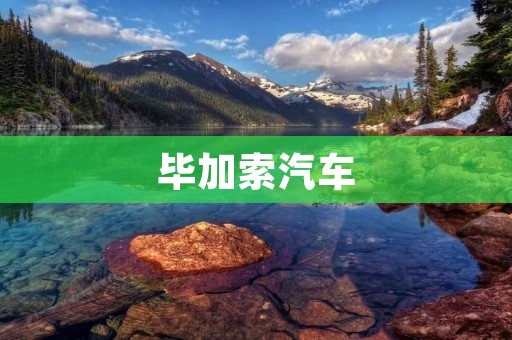 毕加索汽车:艺术与科技的完美结合 毕加索汽车:艺术与科技的完美结合