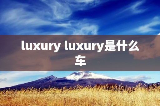 luxury luxury是什么车