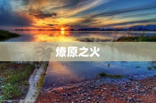 燎原之火：探寻世界各地的森林大火