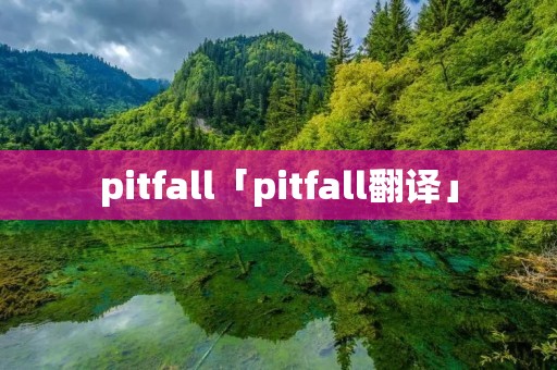 pitfall「pitfall翻译」