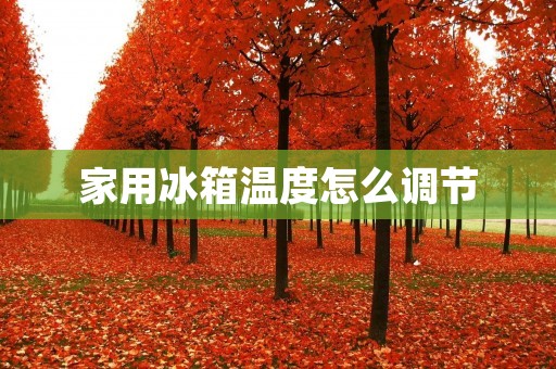家用冰箱温度怎么调节 家用冰箱温度怎么调节