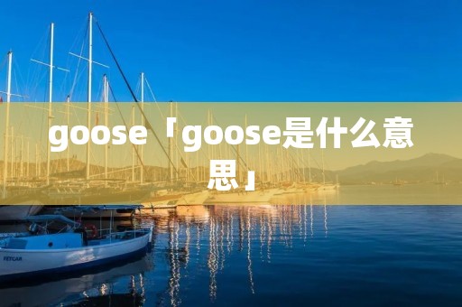 goose「goose是什么意思」
