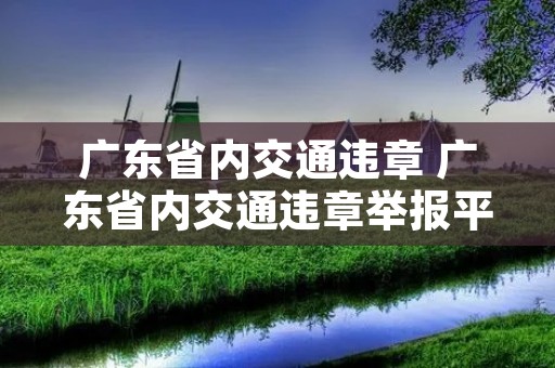 广东省内交通违章 广东省内交通违章举报平台