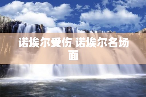 诺埃尔受伤 诺埃尔名场面
