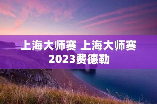 上海**赛 上海**赛2023费德勒
