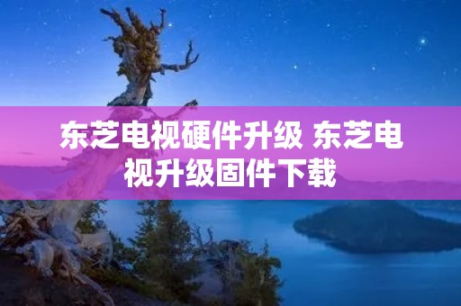 东芝电视硬件升级 东芝电视升级固件下载
