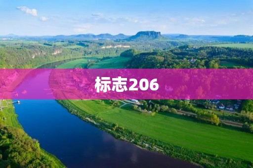 标志206:经典之作 标志206:经典之作