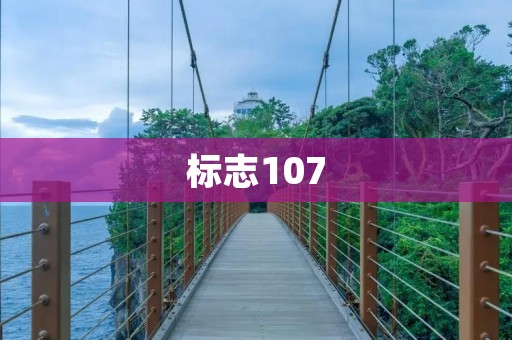 标志107:让你感受到品质与实力的完美结合 标志107:让你感受到品质与实力的完美结合