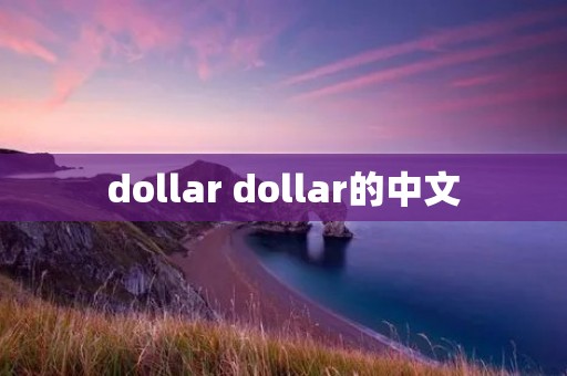 dollar dollar的中文