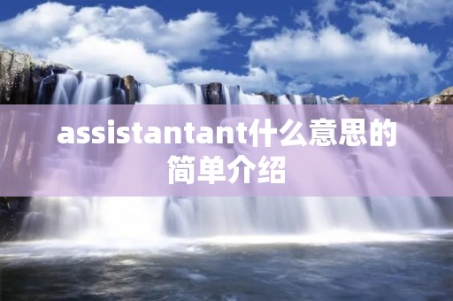 assistantant什么意思的简单介绍