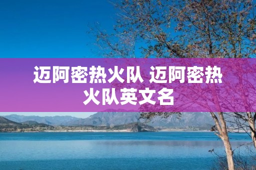 迈阿密热火队 迈阿密热火队英文名
