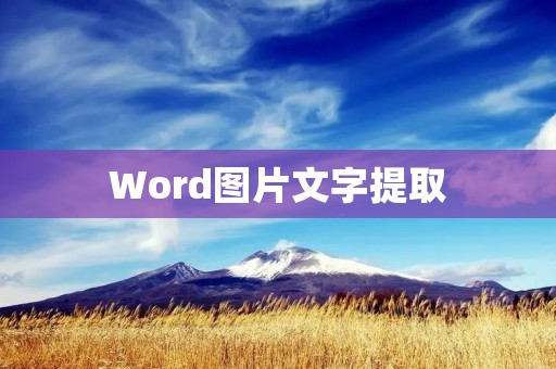 Word图片文字提取:如何高效利用Word中的图片文字提取功能?