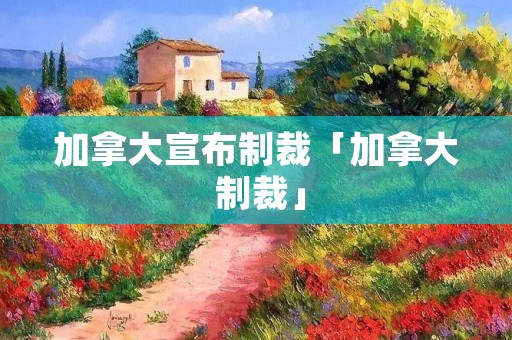 加拿大宣布制裁「加拿大 制裁」
