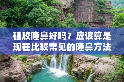 硅胶隆鼻好吗?应该算是现在比较常见的隆鼻方法之一了。它的优点是安全、无痛、无假体排异等等,但也有一些缺点,比如需要反复修复、效果有限等等。接下来,我们就来详细了解一下硅胶隆鼻的优缺点。
