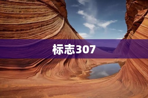 标志307:传承与创新 标志307:传承与创新