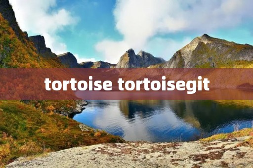 tortoise tortoisegit