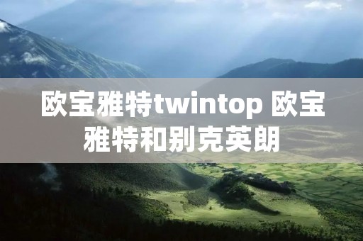 欧宝雅特twintop 欧宝雅特和别克英朗
